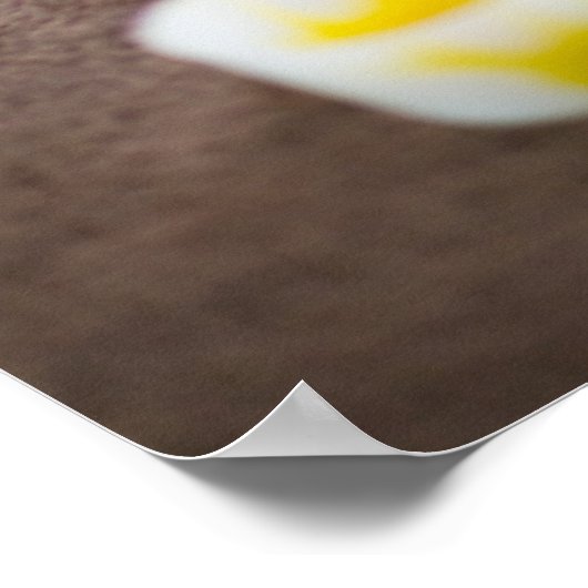 マッサージ ポスター (角)