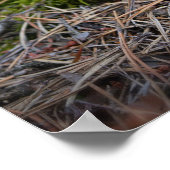 マッシュルームのポスターに自転車を乗せたアコーン小妖精や小人 ポスター (角)