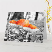 マッシュルームアデレードヒルズジャイアントアートカード カード (黄色い花)