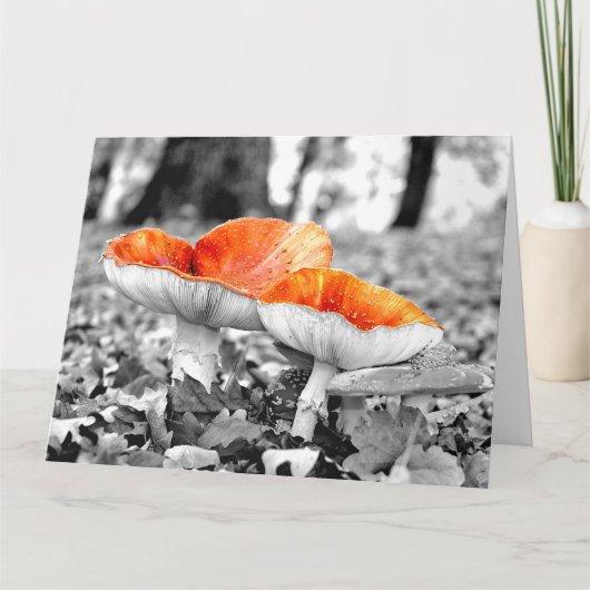 マッシュルームアデレードヒルズジャイアントアートカード カード (正面)