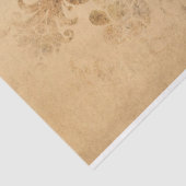 マッシュルームエフェラデザインシリーズ#14 薄葉紙 (詳細)