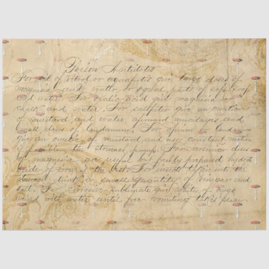 マッシュルームエフェラデザインシリーズ#4 薄葉紙 (正面)