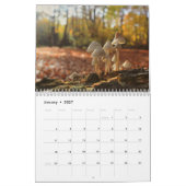 マッシュルームカレンダー カレンダー (1月 2027)