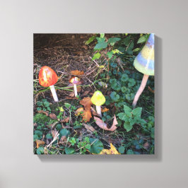マッシュルームガーデン写真キャンバスプリント キャンバスプリント
