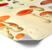 マッシュルームコラージュヴィンテージカラーアートプリント ポスター (角)