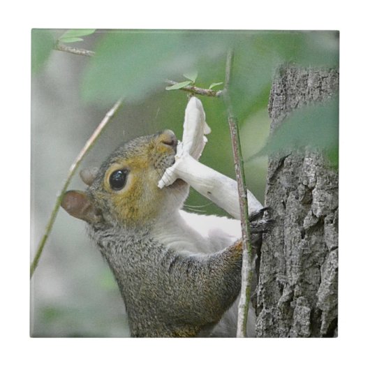 マッシュルームタイル付リス タイル (正面)