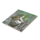 マッシュルームタイル付リス タイル (側面)