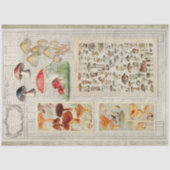 マッシュルームフォレストエファメラコテージコアデクページ 薄葉紙 (正面)