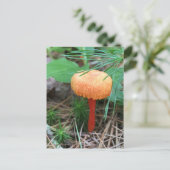 マッシュルームホリデー葉書 ポストカード (スタンド正面)
