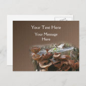 マッシュルームヴィレッジ自然 ポストカード (正面/裏面)