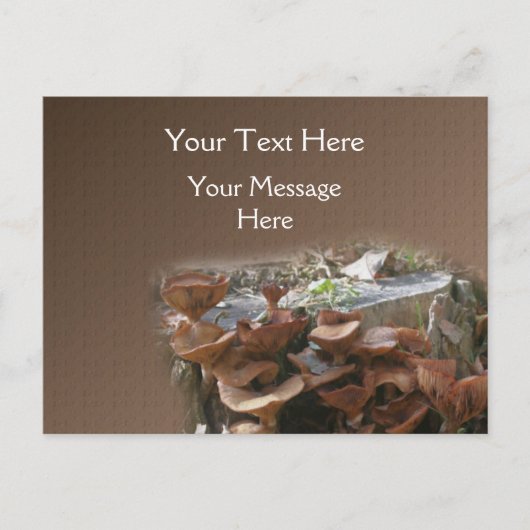 マッシュルームヴィレッジ自然 ポストカード (正面)