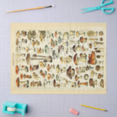 マッシュルームヴィンテージデカッペティッシュペーパー 薄葉紙 (クラフト)