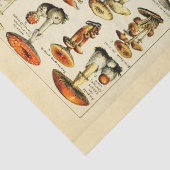 マッシュルームヴィンテージデカッペティッシュペーパー 薄葉紙 (詳細)