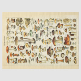 マッシュルームヴィンテージデカッペティッシュペーパー 薄葉紙