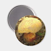 マッシュルーム磁石 マグネット (正面/裏面)