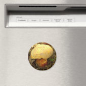 マッシュルーム磁石 マグネット (インサイチュ (食洗機))