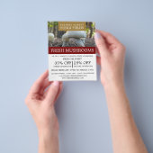 マッシュルーム農家広告ズ チラシ (手)