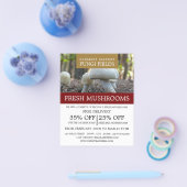 マッシュルーム農家広告ズ チラシ (シングル)