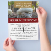 マッシュルーム農家広告ズ チラシ (手)