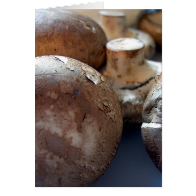 マッシュルーム (正面)