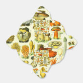 マッシュルーム2 フェイバーボックス (折り畳みなし)