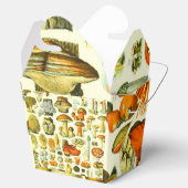 マッシュルーム2 フェイバーボックス (オープン)