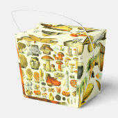 マッシュルーム2 フェイバーボックス (裏面サイド)