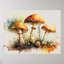 マッシュルーム、アマニタムスカリア