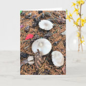 マッシュルーム&パインコーン カード (黄色い花)