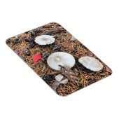 マッシュルーム&パインコーン マグネット (右側)