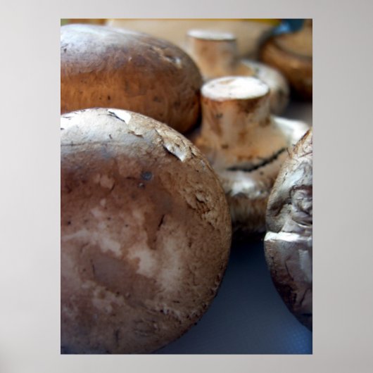 マッシュルーム ポスター (正面)