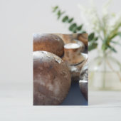 マッシュルーム ポストカード (スタンド正面)