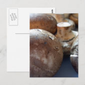 マッシュルーム ポストカード (正面/裏面)