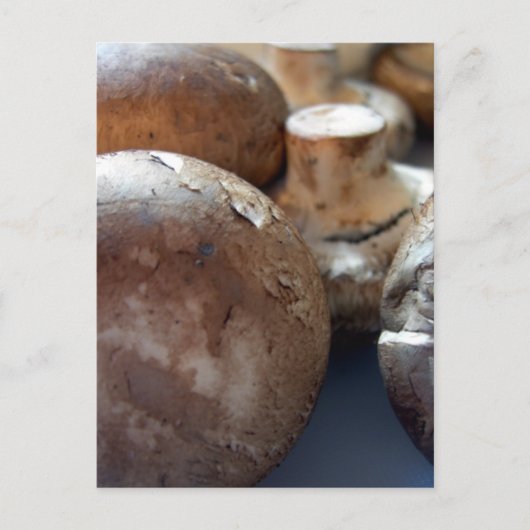 マッシュルーム ポストカード (正面)