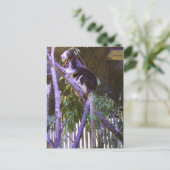 マッシーズツリーカンガルー ポストカード (スタンド正面)