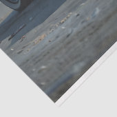 マッスルカーオンザディクページビーチ紙 薄葉紙 (詳細)