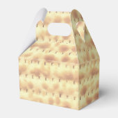 マッゾパソバーセデルペサック4サラ フェイバーボックス (正面サイド)