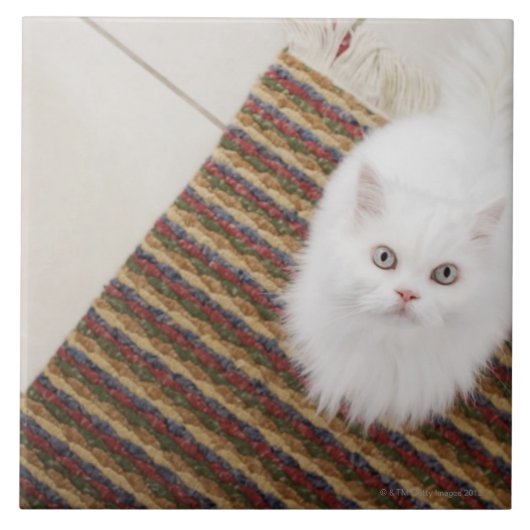 マットに坐っている白い猫 タイル (正面)