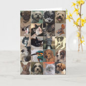 マットの挨拶状 カード (黄色い花)