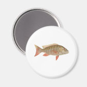 マットンスナッパーイラストレーション マグネット (正面/裏面)