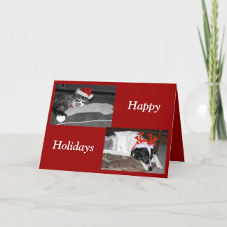 マット シーズンカード