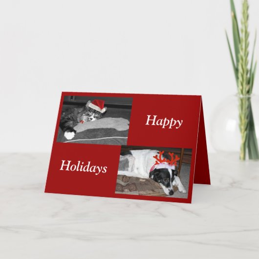 マット シーズンカード (正面)