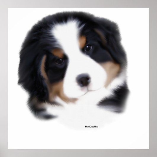 マッドドッグベビー顔プリント ポスター (正面)