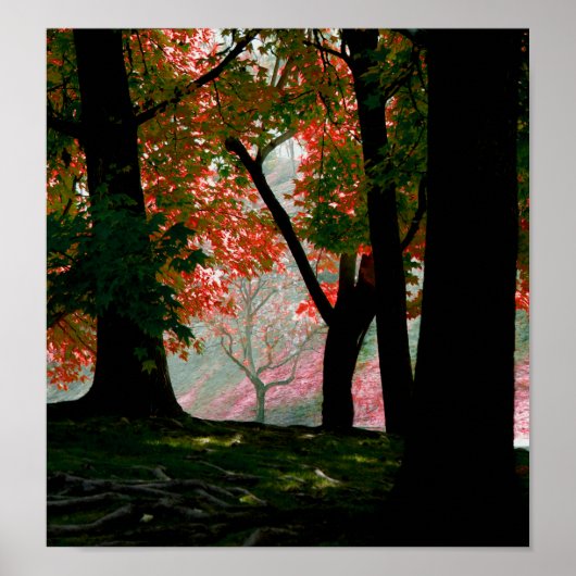 マップル ポスター (正面)