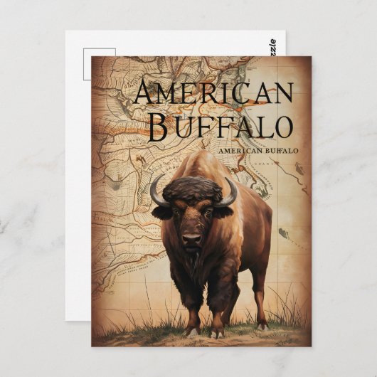 マップ上のアメリカのバッファロー ポストカード (正面/裏面)