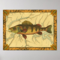 マップ上のイエローパーチ