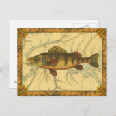 マップ上のイエローパーチ ポストカード (正面/裏面)