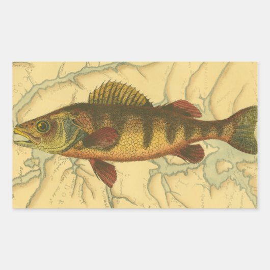 マップ上のイエローパーチ 長方形シール (正面)