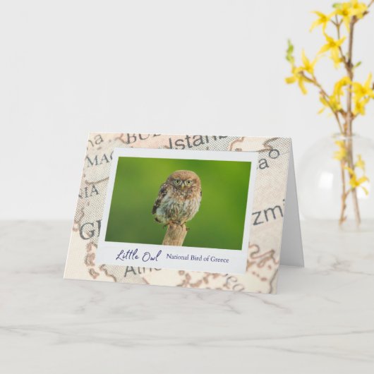 マップ上のギリシャの小さな茶色のフクロウの鳥の紋章 カード (黄色い花)