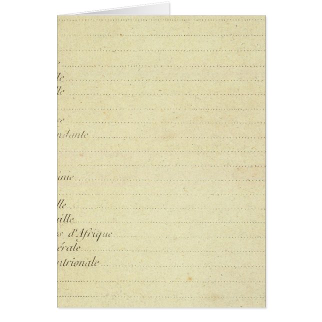 マッモダンプ (正面)